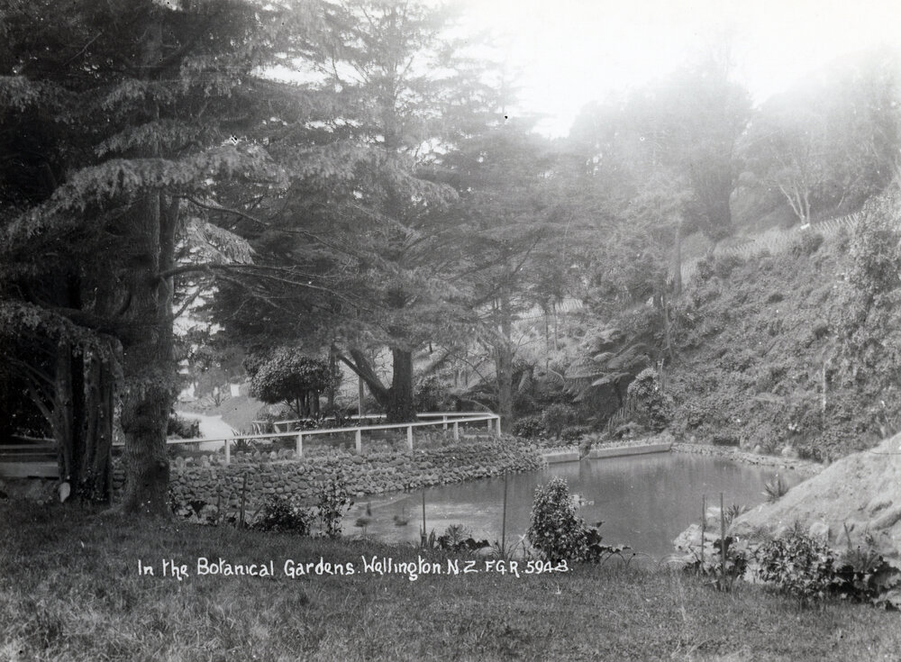 Pond in the Botanic Gardens