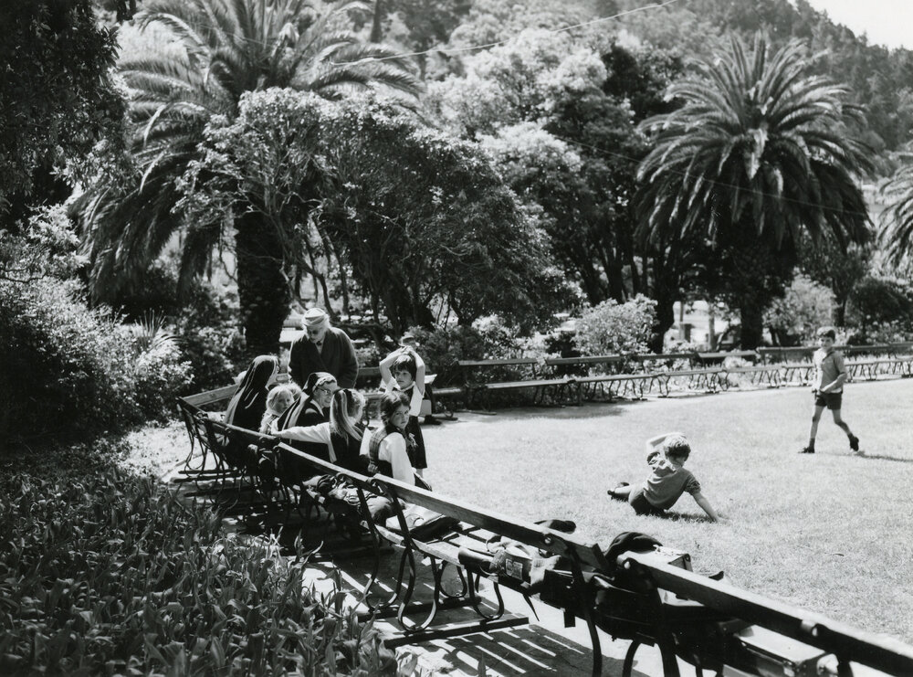 School visit to the Botanic Gardens