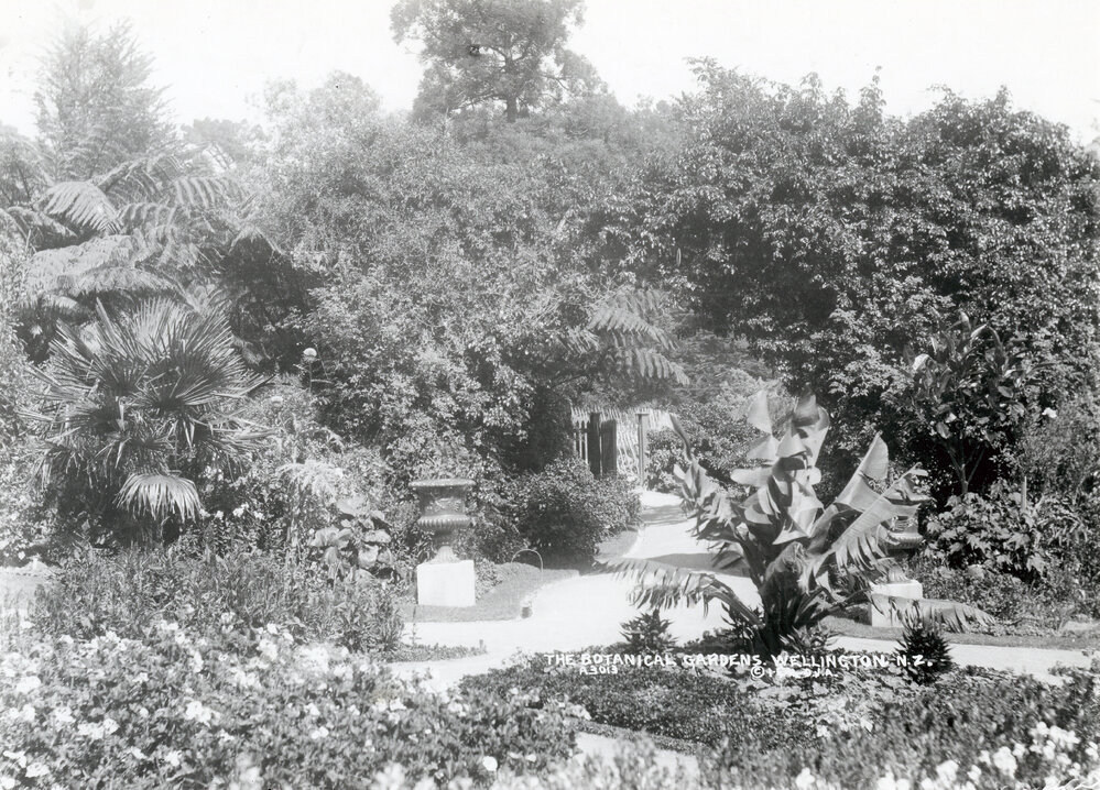 Wellington Botanic Gardens