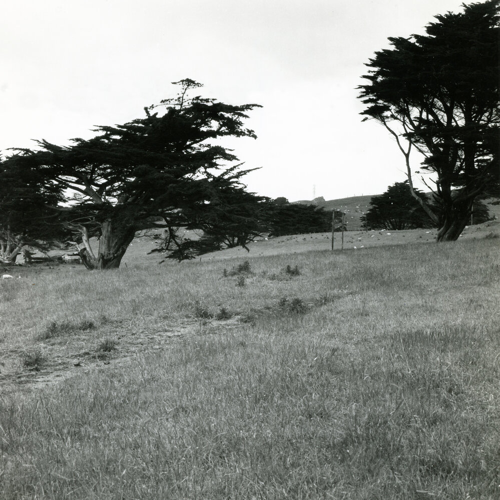 Farmland for subdivision, Newlands