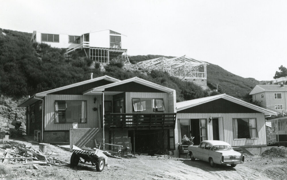 Subdivision in Newlands