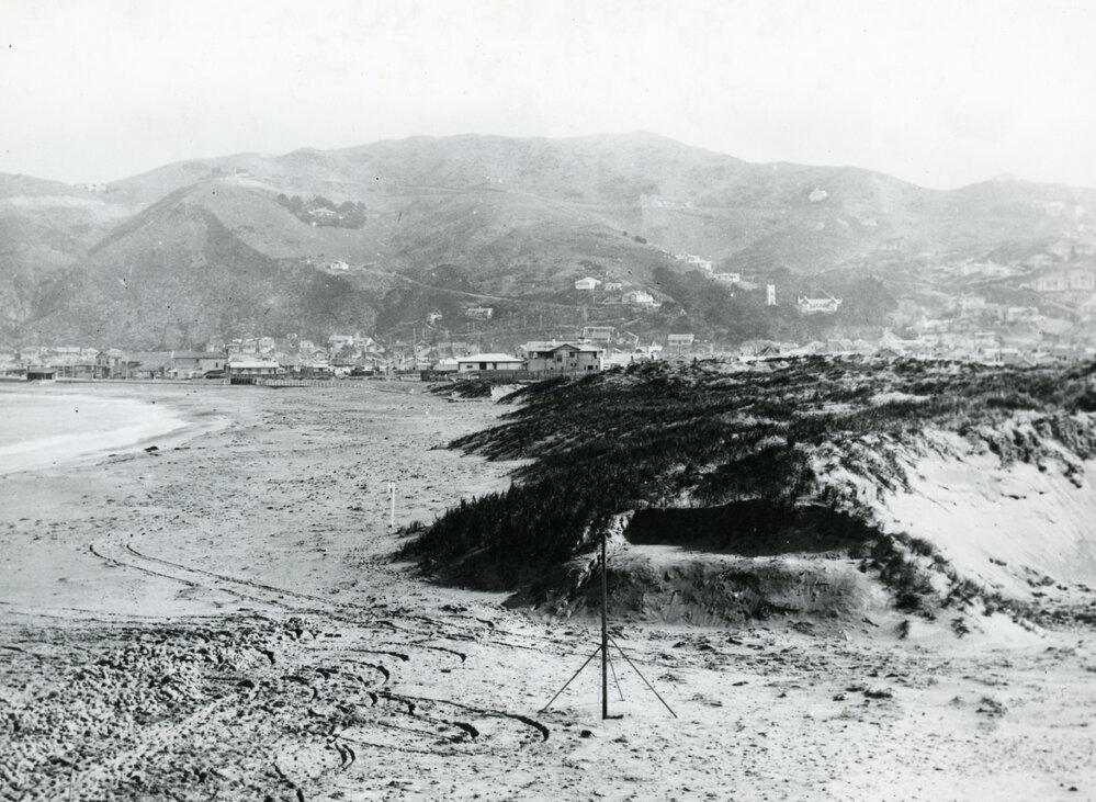 Lyall Bay sand dunes