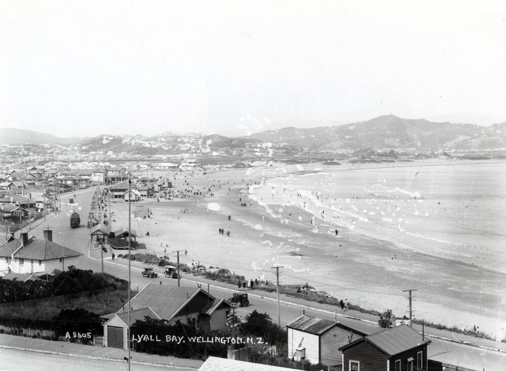 Lyall Bay 