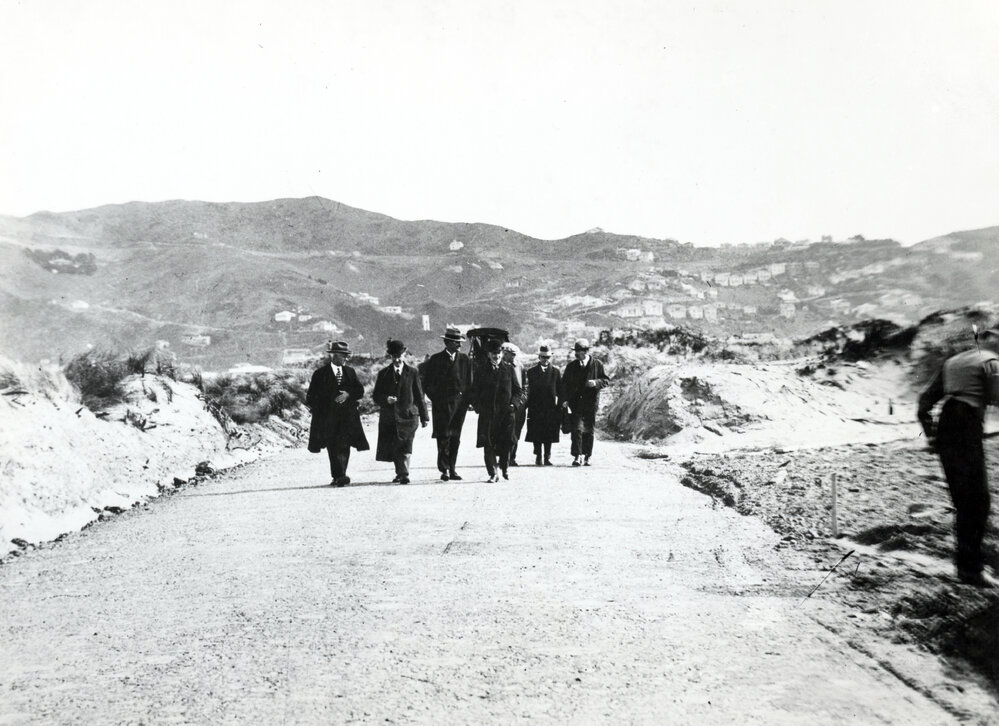 Removal of Lyall Bay sand dunes