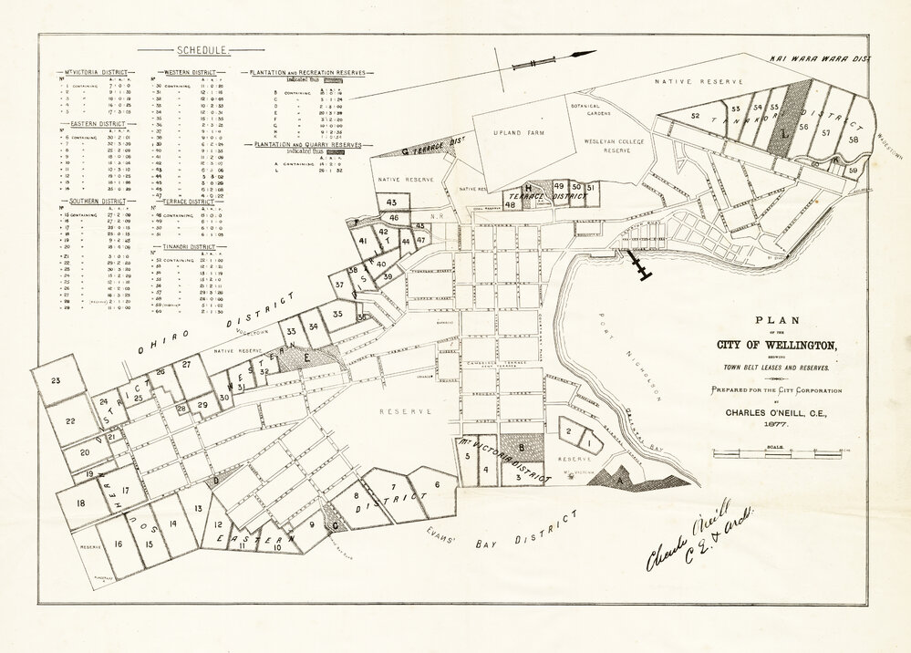 Town Belt Leases and Reserves (1877)