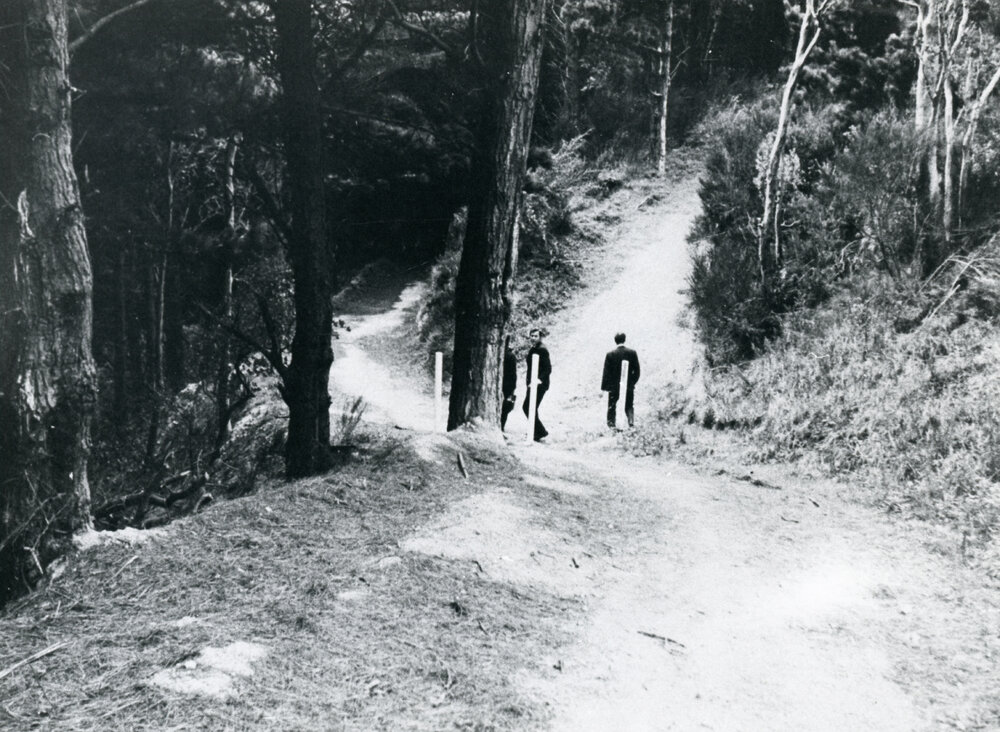 Mt Victoria Town Belt