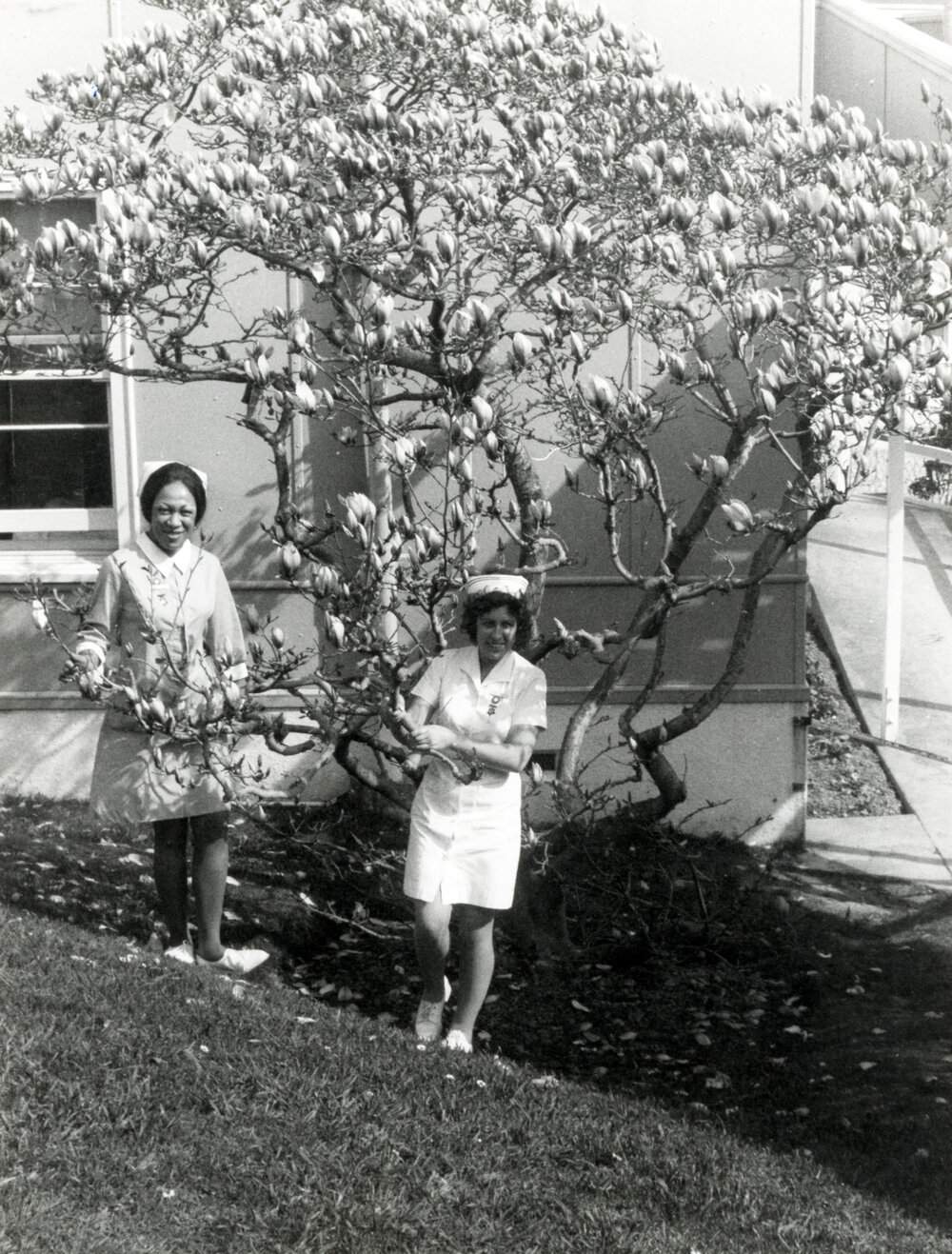 Wellington Hospital nurses