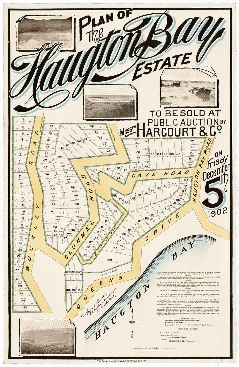 Plan of the Haugton Bay Estate (1902)