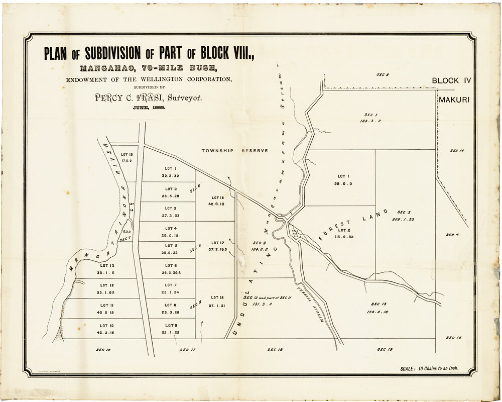 Plan of Subdivision of part of Block VIII, Mangahau (Pahiatua, 1885)