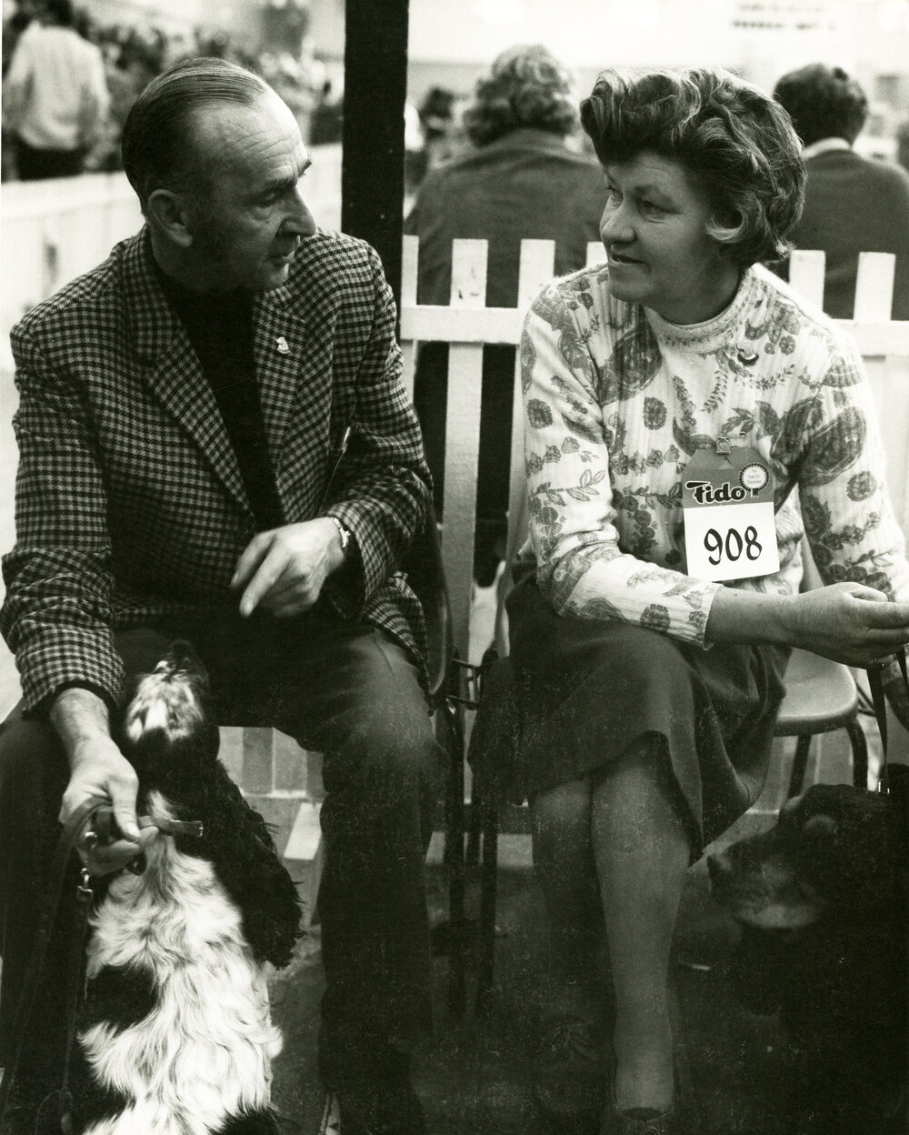 Dog show at the Wellington Show Buildings