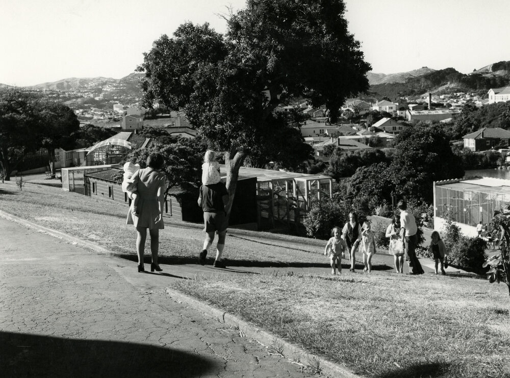 Wellington Zoo, Newtown