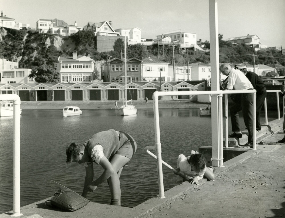 Clyde Quay Boat Harbour, Oriental Bay