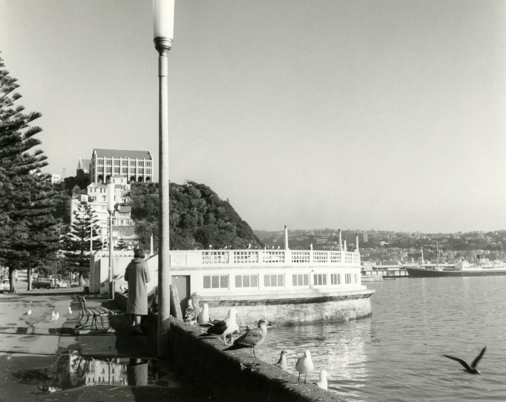 Band Rotunda, Oriental Bay