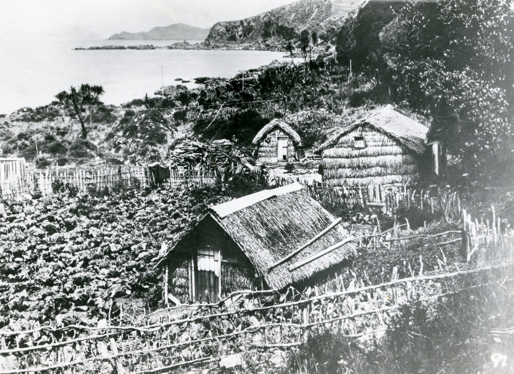 Raupō whare, Karaka Bays