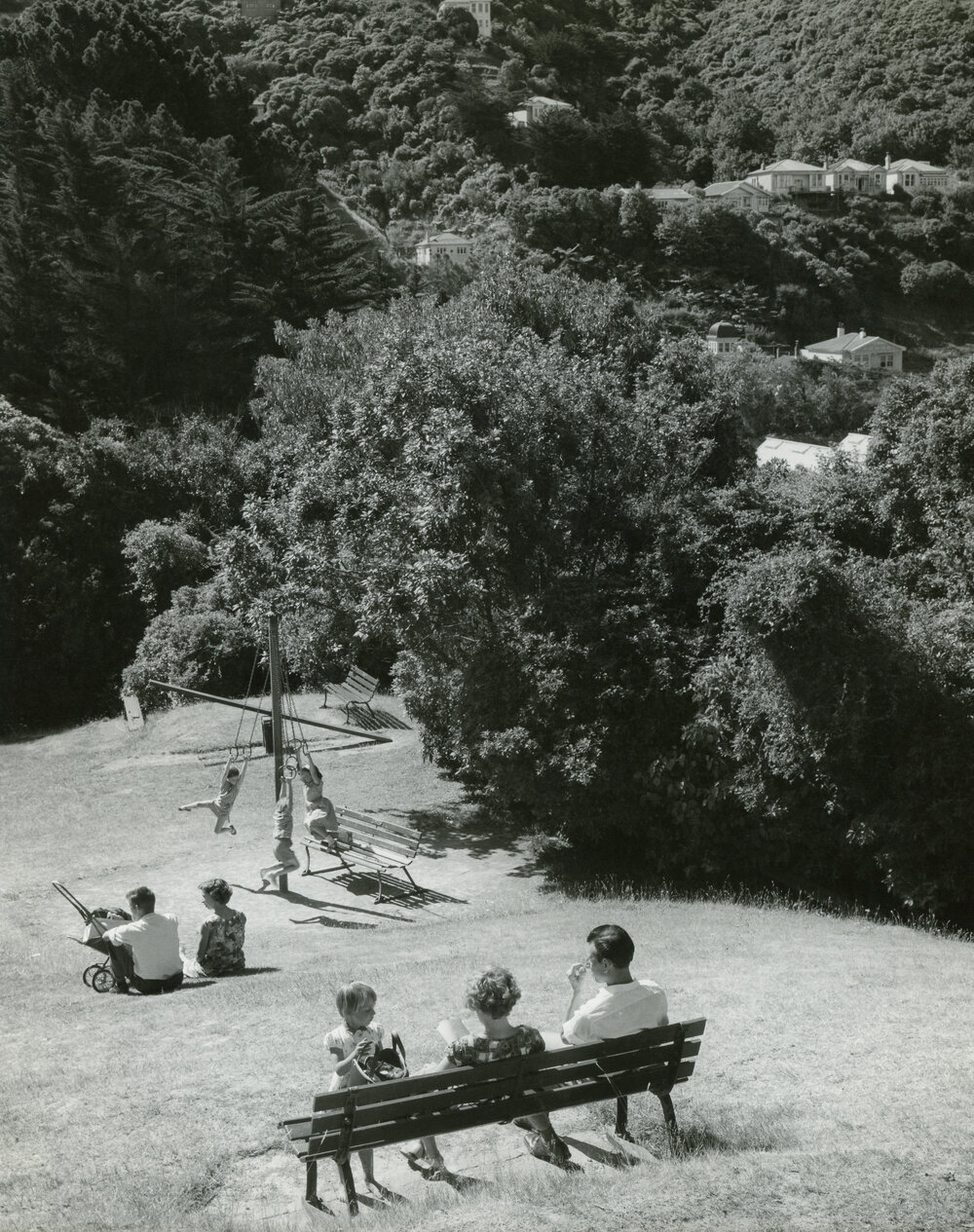 Wellington Botanic Garden