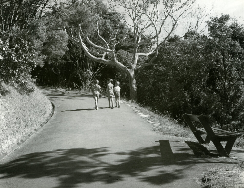 Wellington Botanic Garden