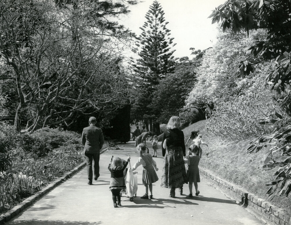 Wellington Botanic Garden