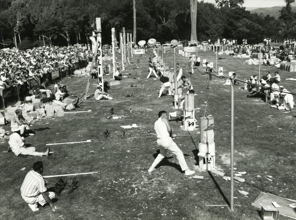 Trentham A &amp; P Show