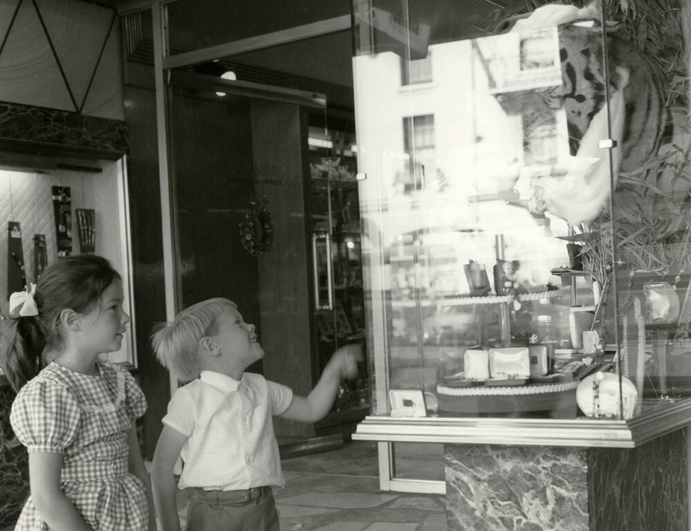 Littlejohn &amp; Sons jewelry store, c. 194 Lambton Quay 