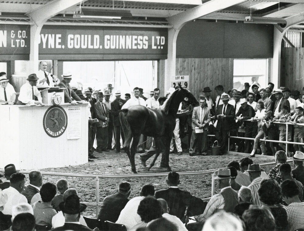 National Yearling Sales 1962