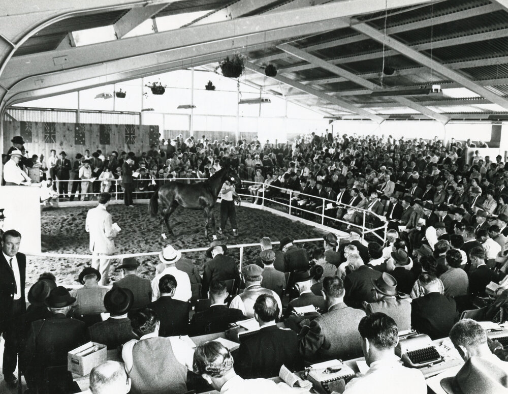 National Yearling Sales 1966