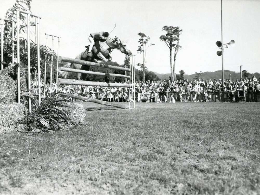 Trentham A &amp; P Show