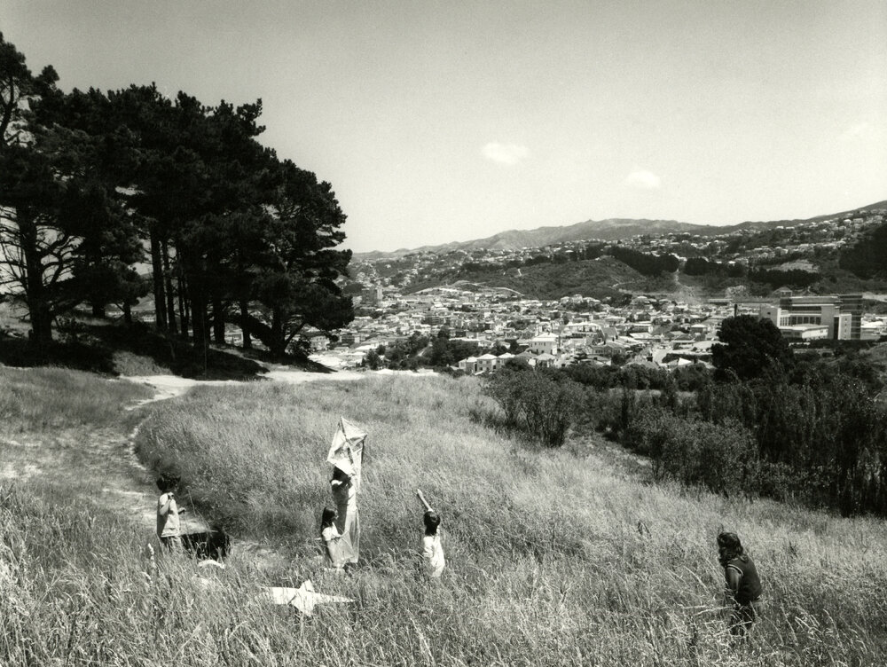 Wellington Town Belt