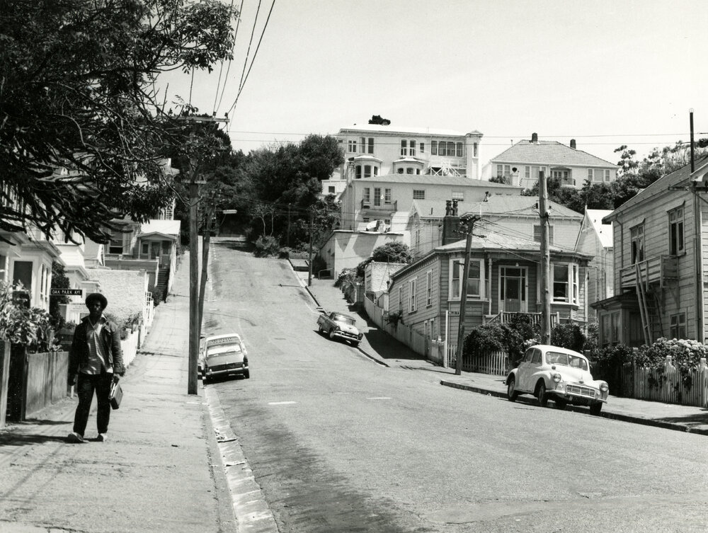 Vivian Street (Buller Street)