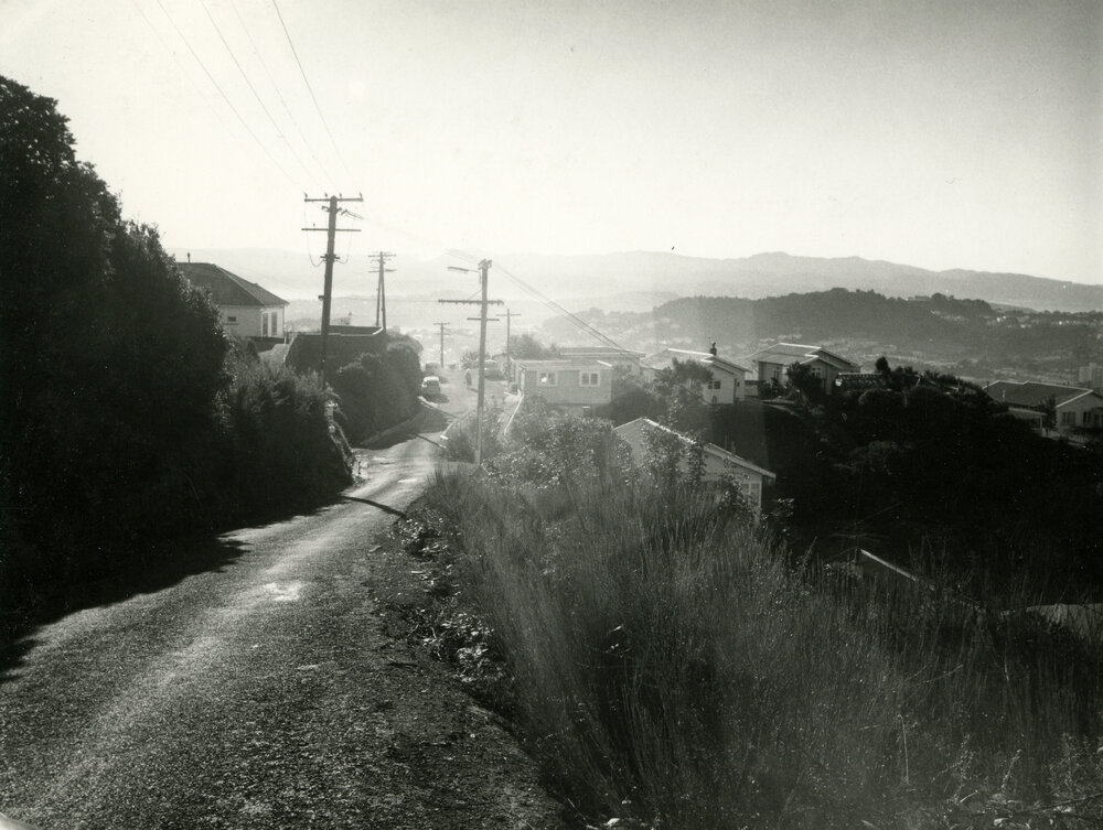 Pearce Street, Vogeltown