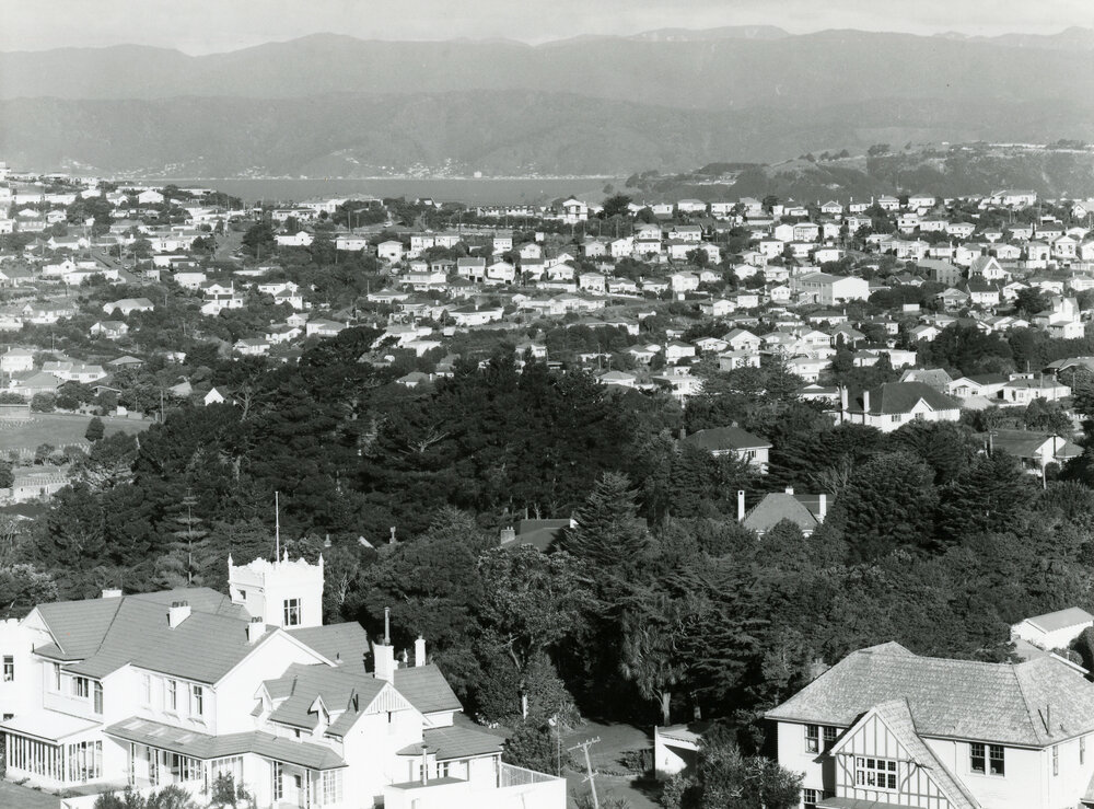 View from Johnston Hill
