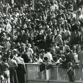 Crowd at the Basin Reserve