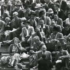 Crowd at the Basin Reserve