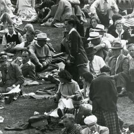 Crowd at the Basin Reserve