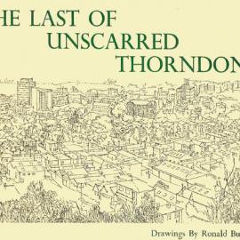 The Last of Unscarred Thorndon