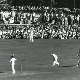 Cricket at the Basin Reserve