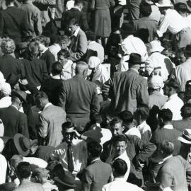 Crowd at the Basin Reserve