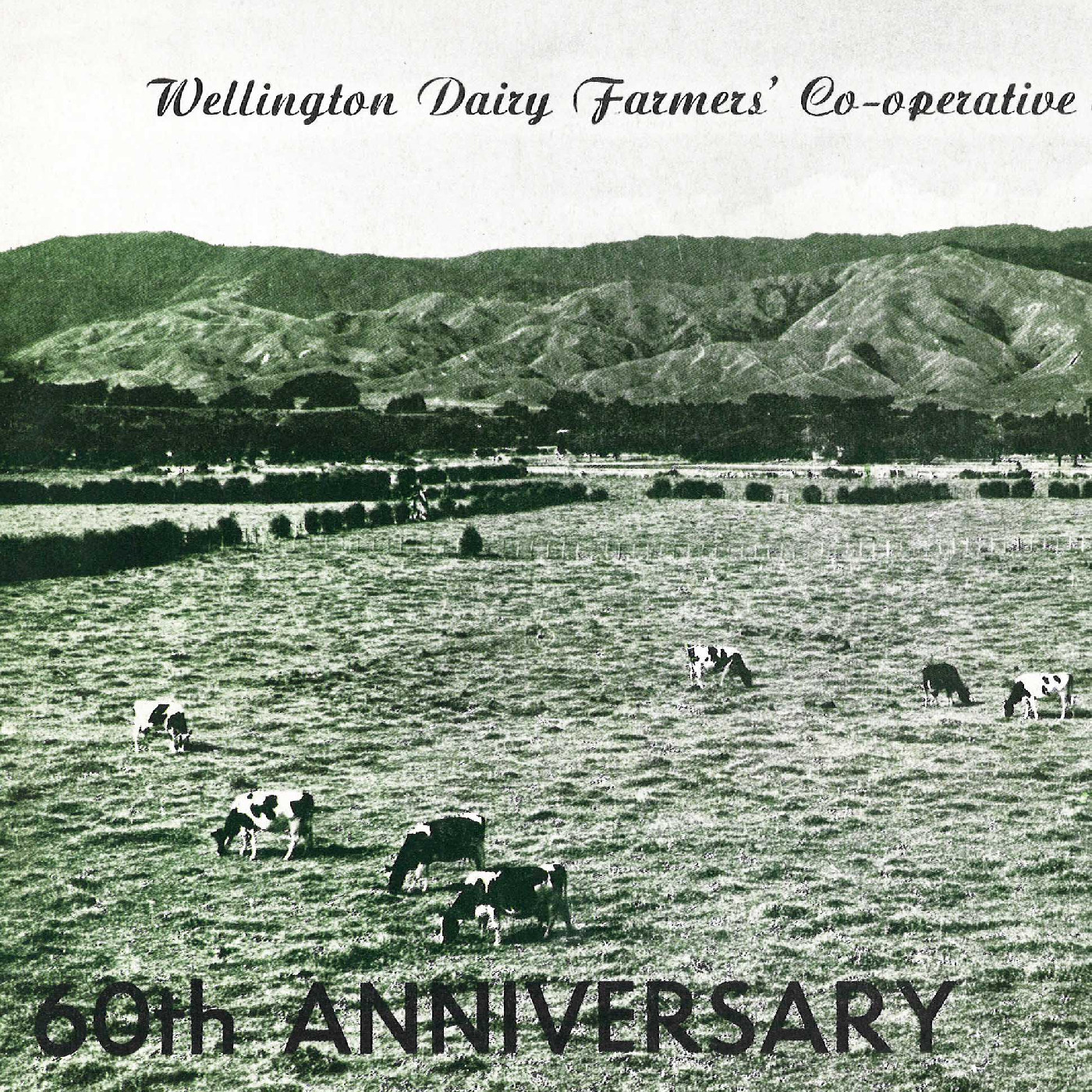Wellington Dairy Farmers' Co-operative Association Ltd.