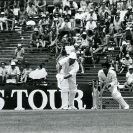 Cricket at the Basin Reserve