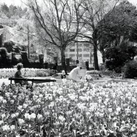 Tulips in the Botanic Garden 