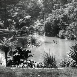 Duck pond at the Botanic Gardens 