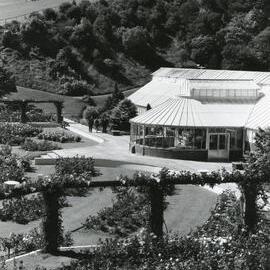 Lady Norwood Rose Garden and Begonia House