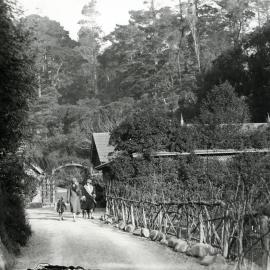 Women walking in the Botanic Gardens