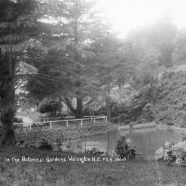 Pond in the Botanic Gardens
