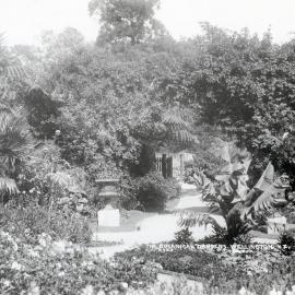 Wellington Botanic Gardens