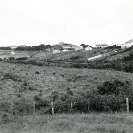 Farmland for subdivision, Newlands