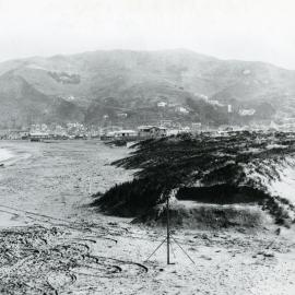 Lyall Bay sand dunes