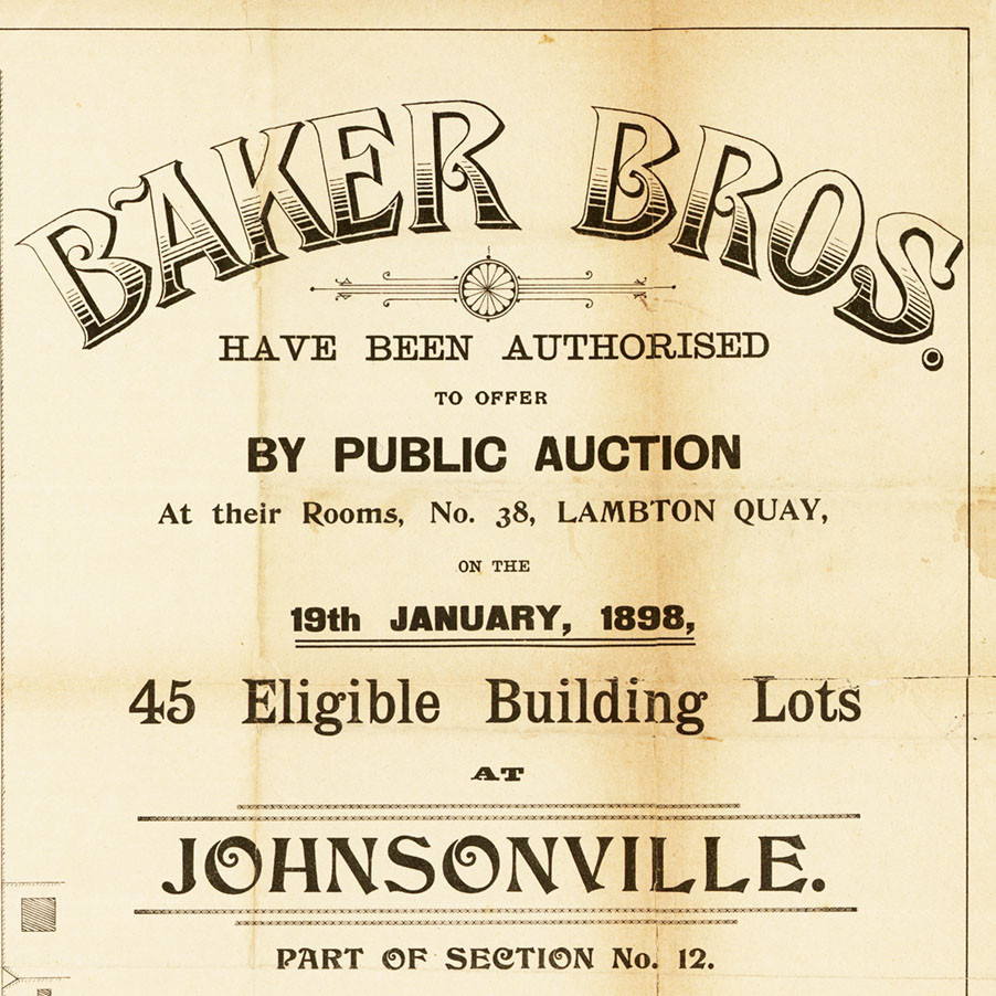 Johnsonville Subdivision Plan (1898)