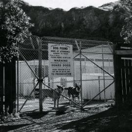 Dog Pound, Moa Point