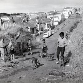 Walking monkeys in Hall Street, Newtown
