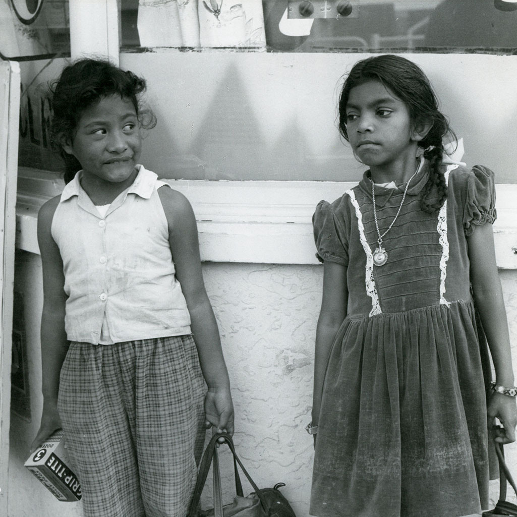 Wallace Street, Mt Cook